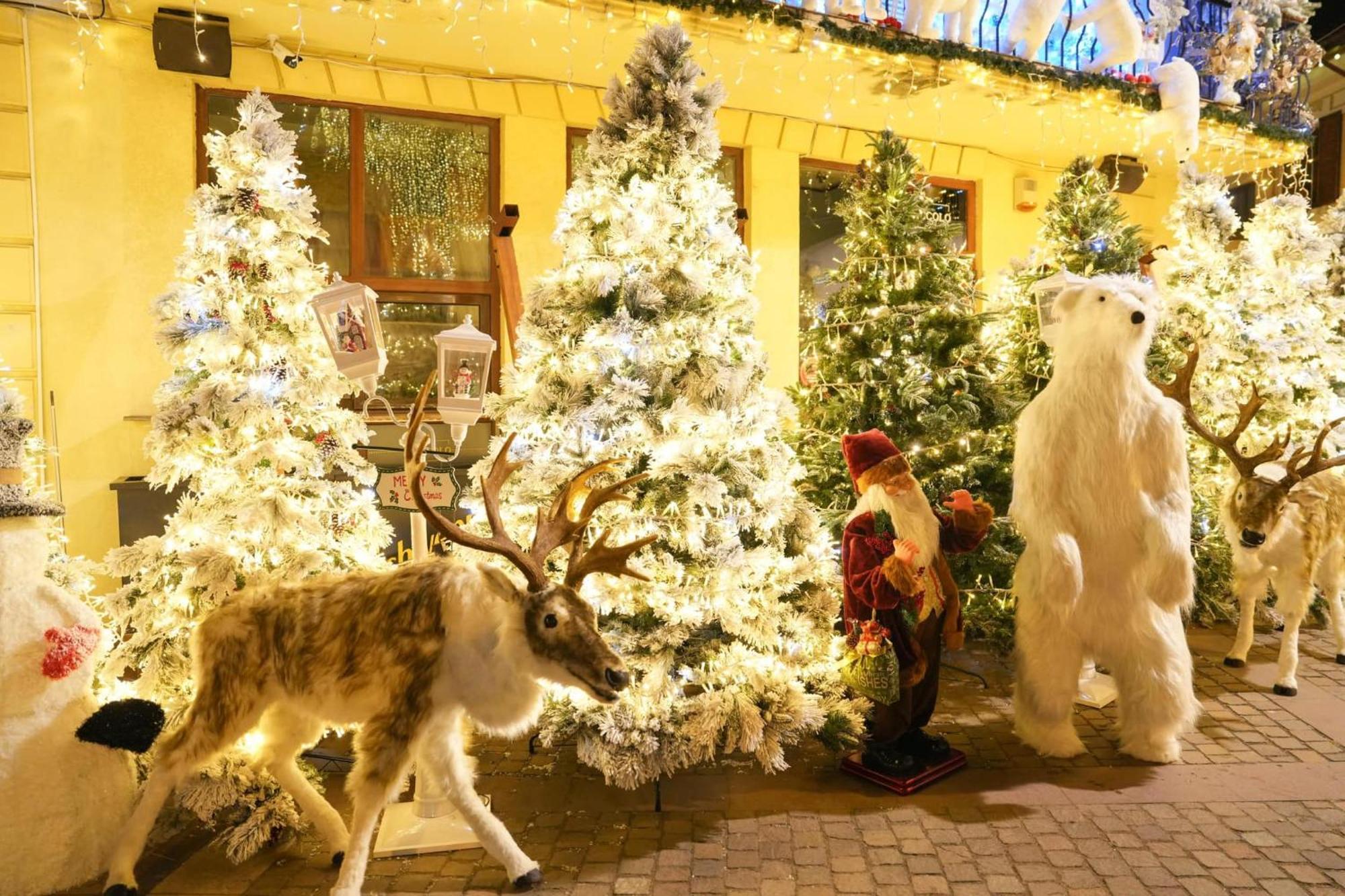 Craiova - Cazare Dış mekan fotoğraf